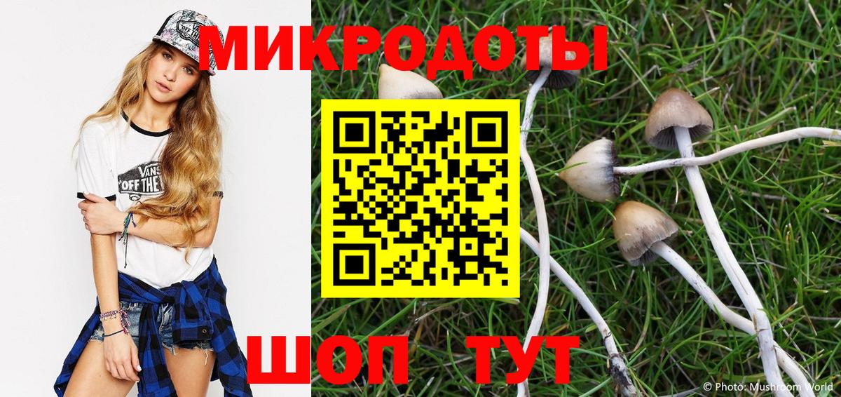 Псилоцибиновые грибы прущие грибы Ногинск