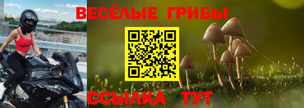 Ногинск  Галлюциногенные грибы GOLDEN TEACHER  Вход с VPN  Галлюциногенные грибы Psilocybe 
